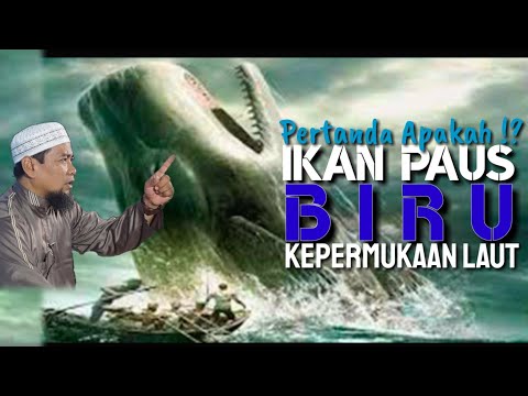MASYAALLAH !! Ikan Paus Biru Kepermukaan Laut, Pertanda Akhir Zaman | Ust Zulkifli Muhammad Ali