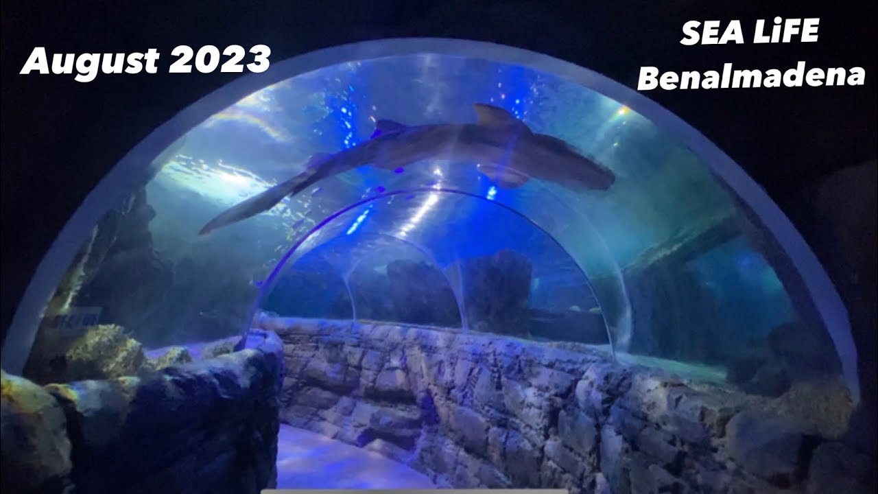 SEA LIFE Benalmádena      August 2023💕