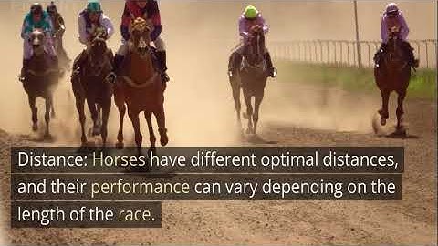 Winning at Horse Racing: Understanding Form