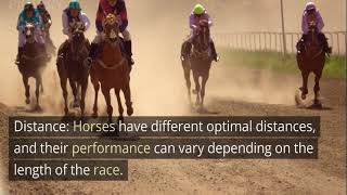 Winning at Horse Racing: Understanding Form