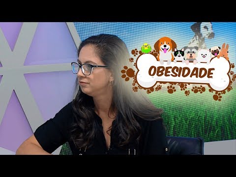 Vídeo: Os perigos da obesidade em cães