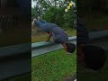 iske liye bahut mehnat karna padega😱   #YouTube #viral #shots