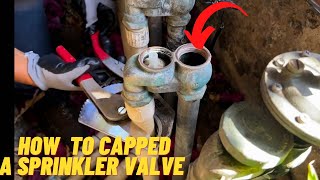 How to capped a sprinkler valve