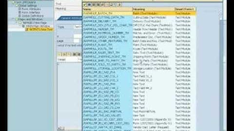 Creation of Text Module in Smartforms(Smart forms)
