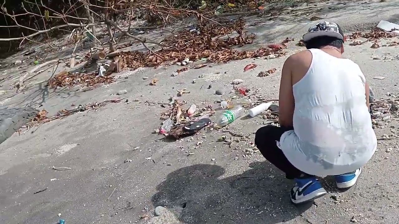 Naghanap kami ng kabibe para sa halaman nila