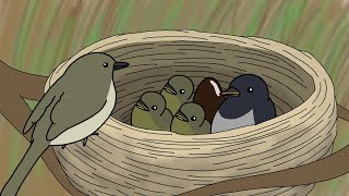 Warbler - YouTube