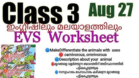 Class 3 Evs worksheet August 27| കുഴിയാന മുതൽ കൊമ്പനാന വരെ| from doodlebug to Tusker| victers3