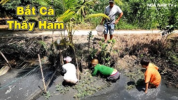 Bắt Cá Trong Ao Rau Nhút Dính Đủ Thứ Cá, Trúng Ổ Chem Chép Thấy Ham/Catch The Fish/NGÃ NĂM TV
