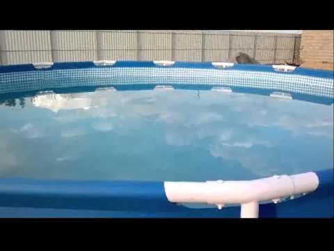 Чистая вода в бассейне. Зеленая вода в бассейне. Зеленеет бассейн. Соляной бассейн. Бассейн каркасный зеленый.