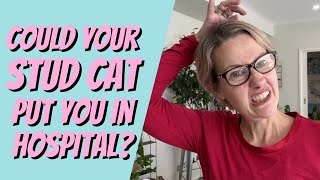 Could your STUD CAT put you in the HOSPITAL?