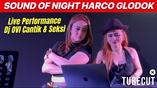 SOUND OF NIGHT HARCO GLODOK DJ OVI PART-3#dj#soundofnaight#harcoglodok#djremix#djperformance#viral 