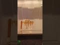 #fridgedeepclean #viral