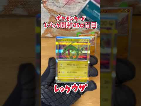 【ポケカ】ポケモンカード  MEGAドリームex 1パック開封250日目・・・#ポケモン#ポケモンカード#開封動画 