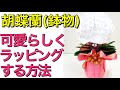 【ラッピング】胡蝶蘭(鉢物）をめっちゃ可愛くラッピングする方法＆リボンの作り方～How to wrap Phalaenopsis orchid.