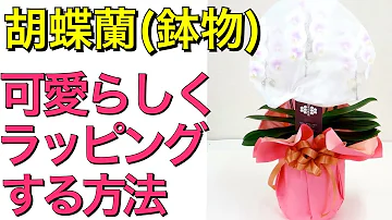 短 ラン の 作り方