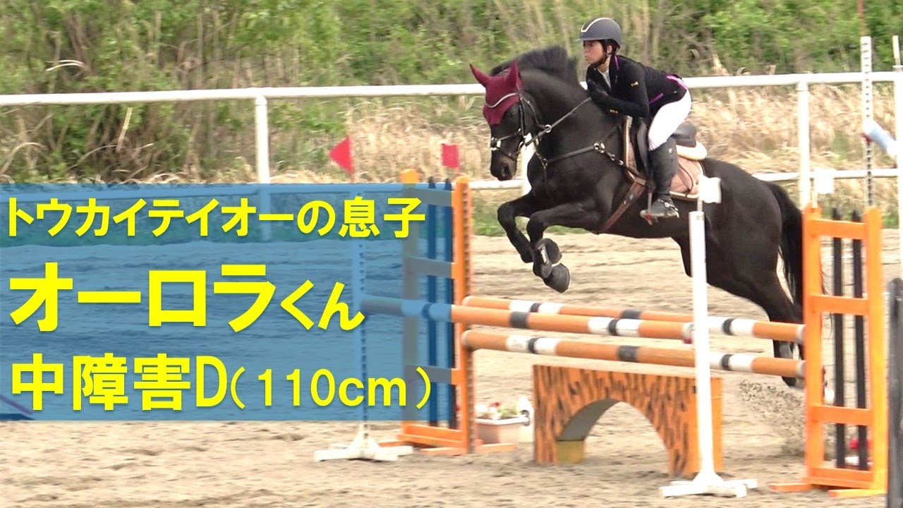 障害馬術 オーロラファルメ 2024水口ホースショー中障害D - YouTube