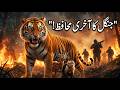 Brave Tiger Saves the Jungle Fire | Emotional Hero Story for Kids | Tiger Story