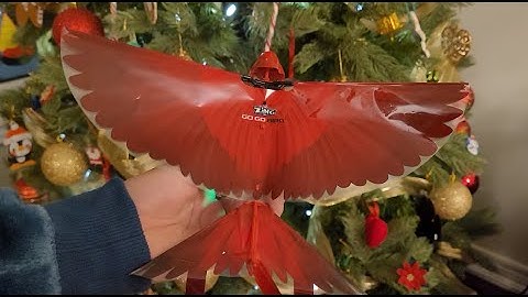 Lets Open a Go Go Bird, this Bird really can Fly!