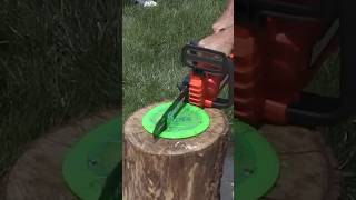 World’s Strongest Disc