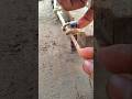Amazing Rope Knot Trick | Smart Rope Wrapping Technique🪢🪵😱#ropeknots #knottrick #ropehack #diytips