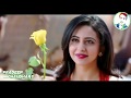 Teri pyari pyari do akhiyan whatsapp status  pk nohwar 