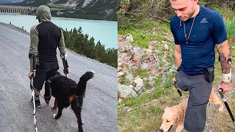 Il cane sostiene la gamba mancante, la storia del ...