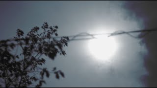 Download Lagu 101A future song MV [Collaboration work with Kazuhiko Tanaka] MP3