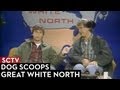 Sctv great white north dog scoops