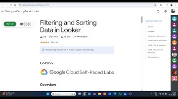 Filtering and Sorting Data in Looker || Lab Solution || Google Cloud Arcade 2025
