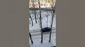 Алексей Меньшиков