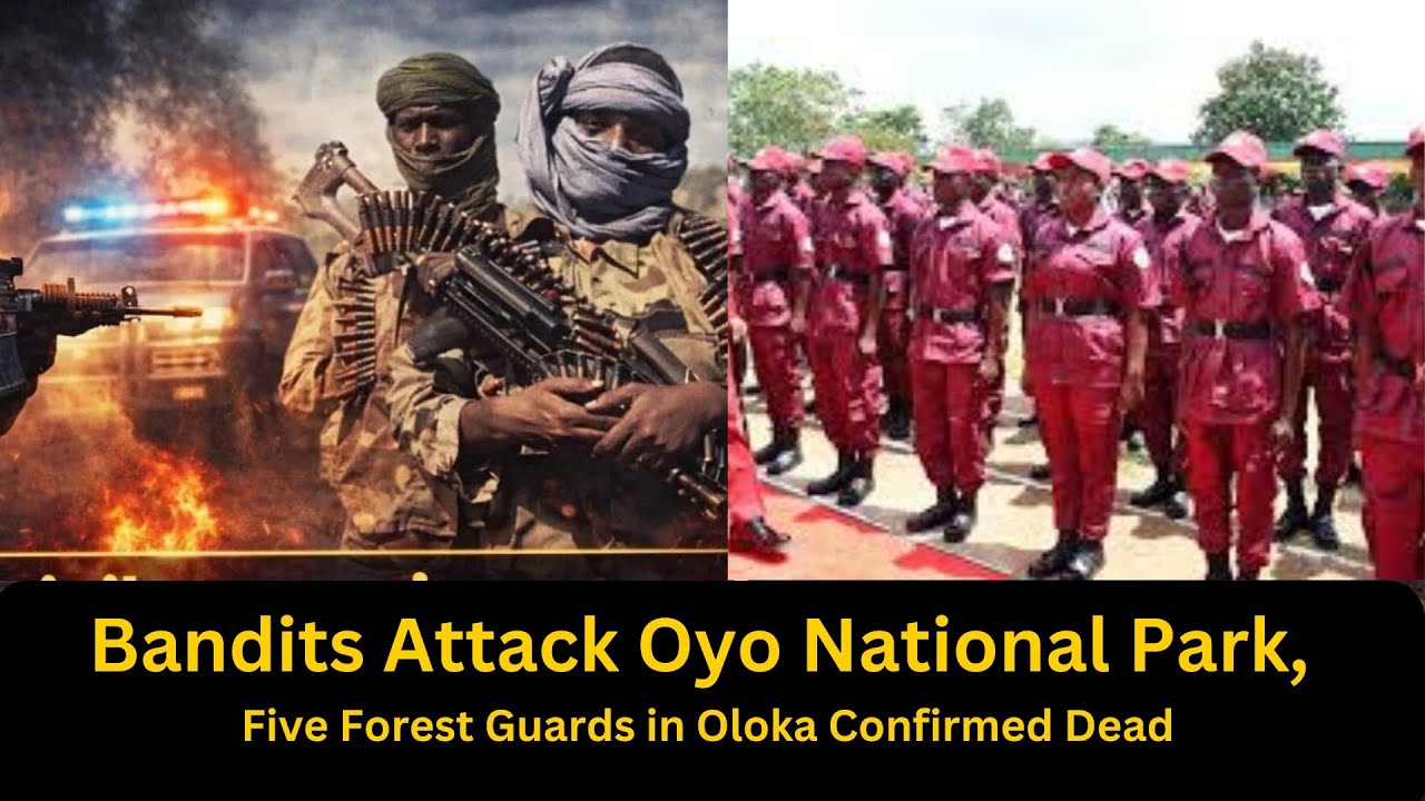 Пять лесничих погибли при нападении бандитов на национальный парк штата Ойо.
