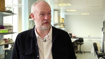 Quantification of Inorganic Arsenic in Rice