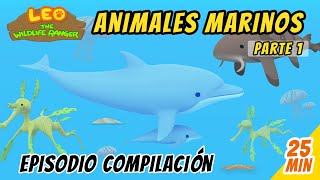 Animales Marinos Episodio Compilación [Parte 1/2] (Español) - Leo, El Explorador | Animación