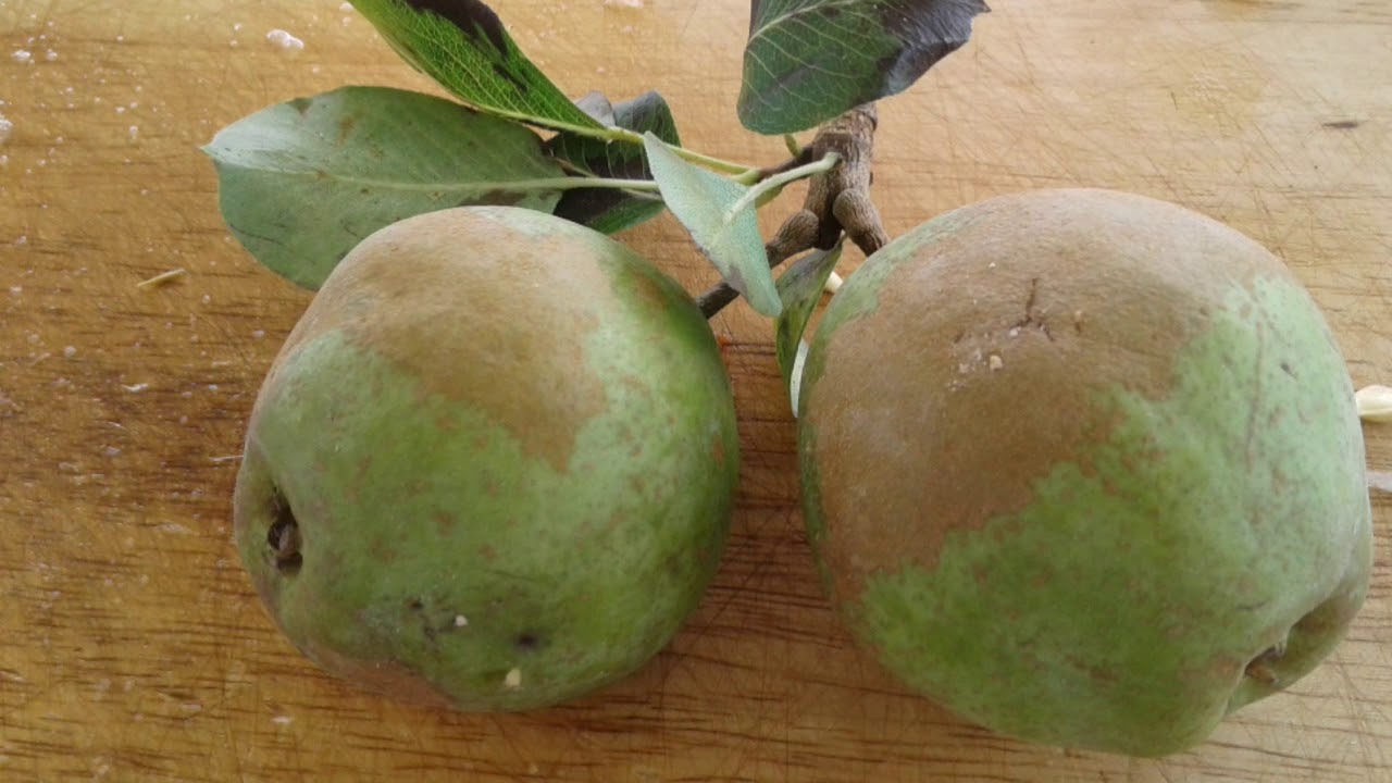 chickens come home to roost A Bazillion Pears To Can