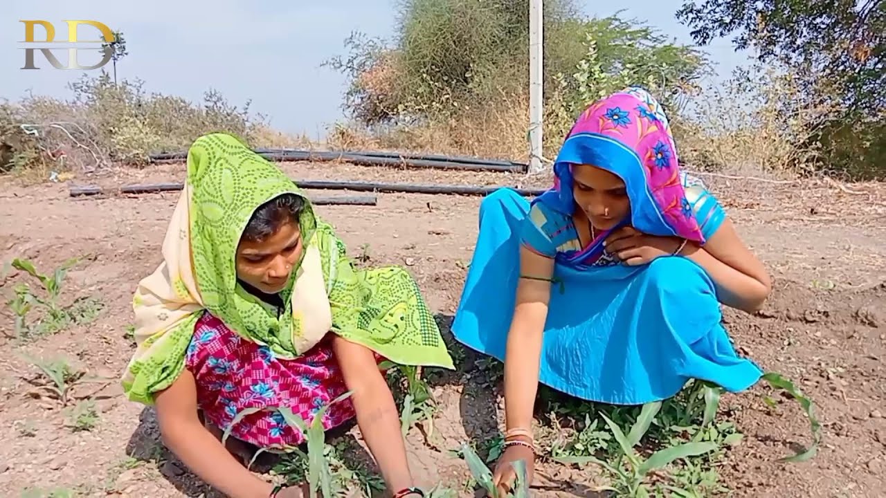 વહુ ને જો આયા આદિવાસી રીત રિવાજ કોમેડી દિનેશ ભાભોર ની કોમેડી, दिनेश भाबोर की कॉमेडी