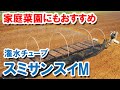 潅水チューブ・スミサンスイM　使用の様子　家庭菜園にもおすすめ！