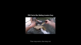 Box Netting Invasive Carp! #shorts