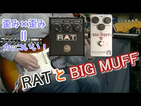 ブースター活用方法14 ProCo RAT x electro-harmonix BIG MUFF Ram's