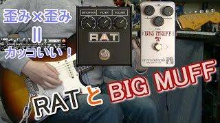 ブースター活用方法14 ProCo RAT x electro-harmonix BIG MUFF Ram's