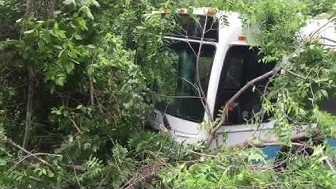 MTA bus crashes into trees at Falls Road and Northern Parkway
