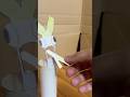 ネギで鳥の化け物を油断させた
