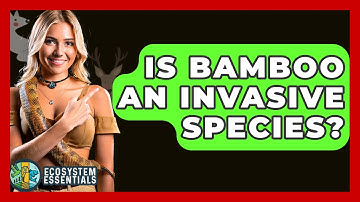 Is Bamboo An Invasive Species? - Ecosystem Essentials