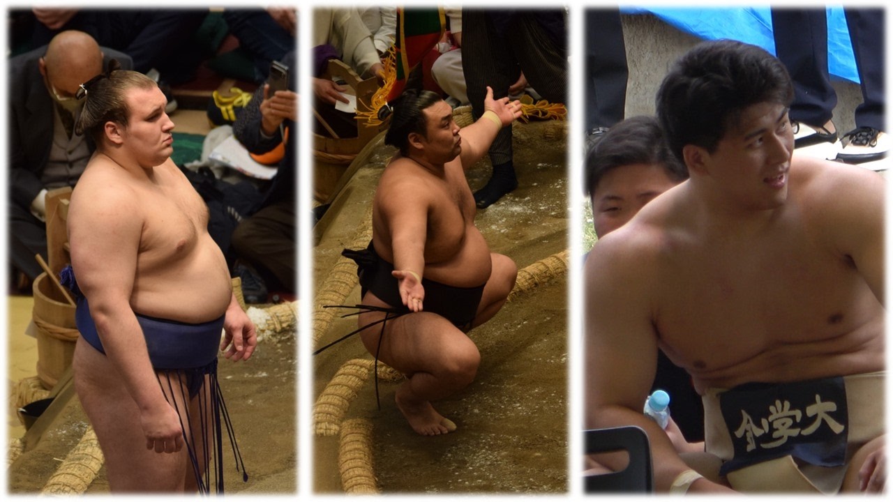 Aonishiki unbeaten; Kirishima 