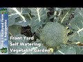 Front Yard Self Watering Vegetable Garden & Fruit Trees