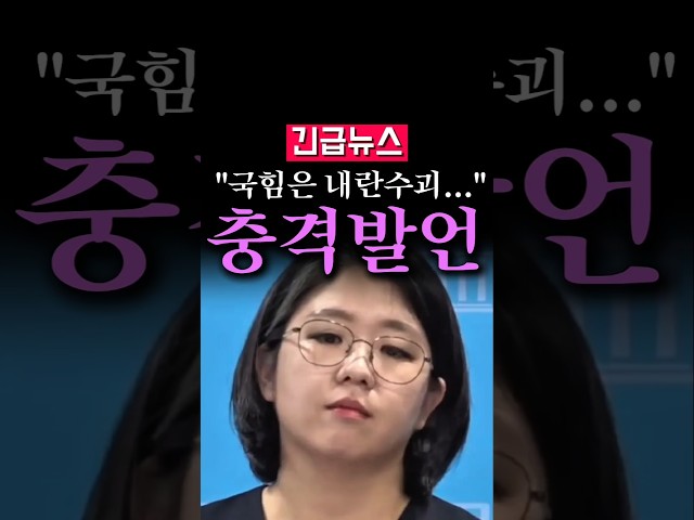 (속보) "국힘은 내란 수괴...", 용혜인 폭탄 발언...