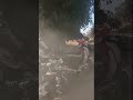 Unexpected Bush Encounter! #FunnyMoments #Unexpected #BushAdventure #ViralClip #Comedy #shorts