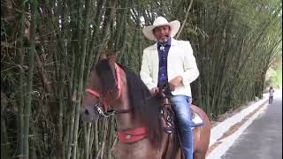 Pedro Romero - La Yegua Cielito