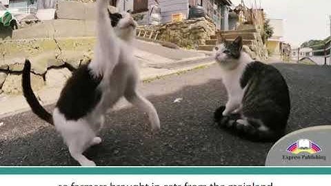 Excel 8 module 7 p80 ex1 Island Destinations with a Difference video ver