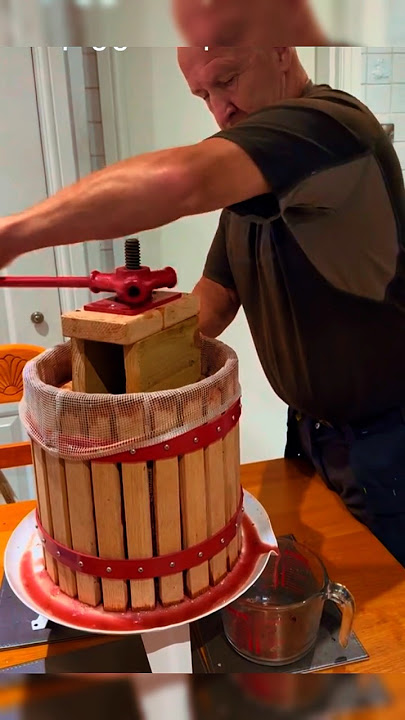 THE ANCIENT ART OF WINEMAKING A CENTURIES-OLD TRADITION#shorts