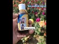 best ayurvedic hair fall oil for women #ayurvedictips #ayurved #hairlosscure #ayurvedichairoil